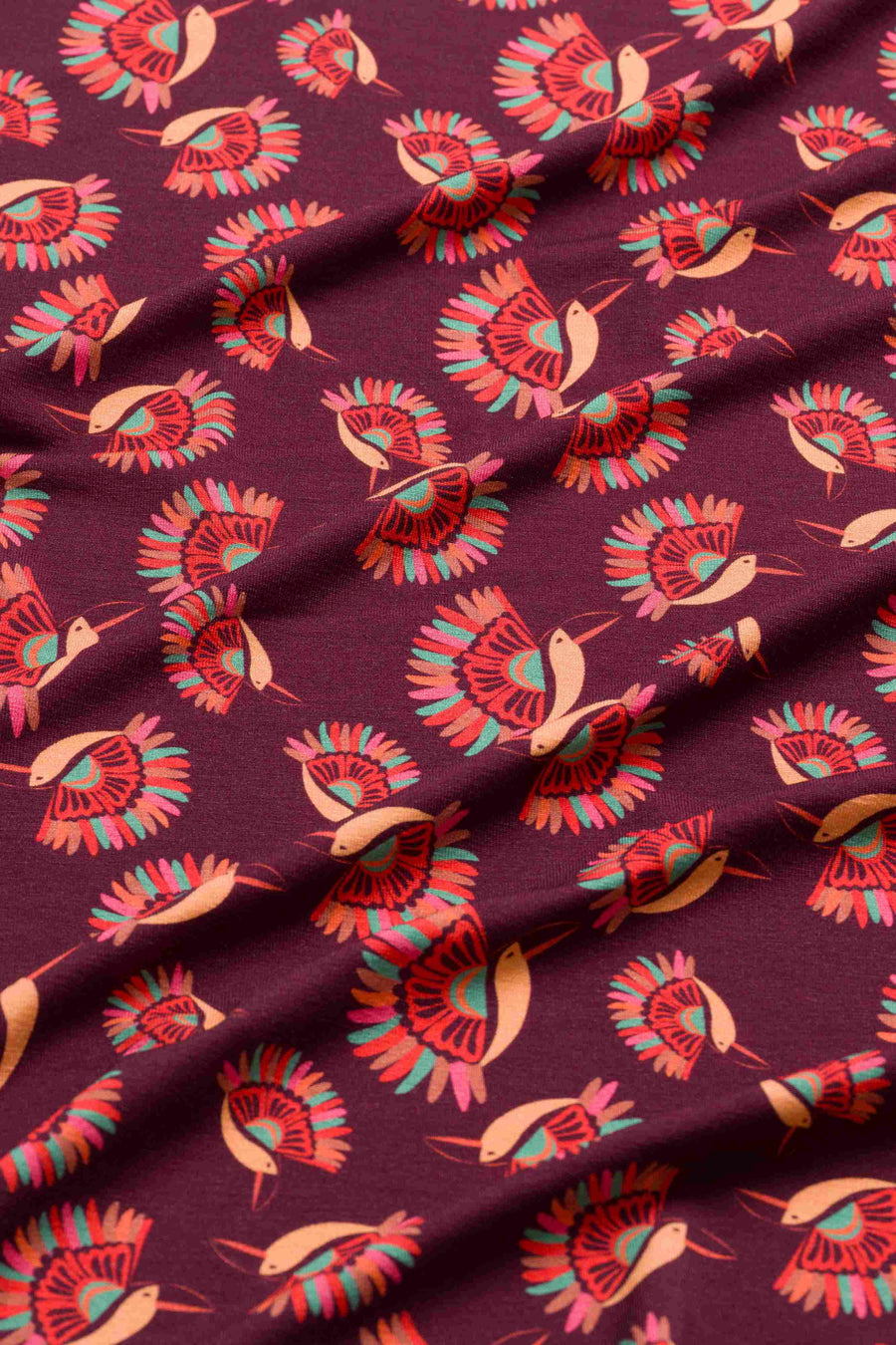Holly Rok |  Bird Of Paradise